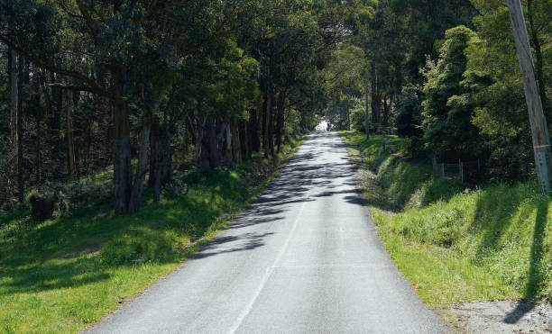 istock Summer country road 1186928148