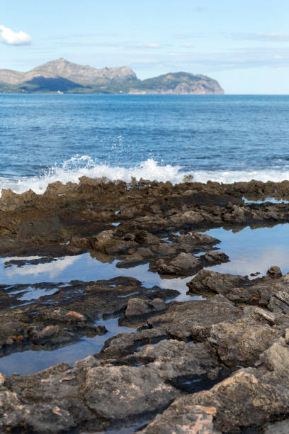 istock Beach of Can Picafort in Mallorca 1186930269