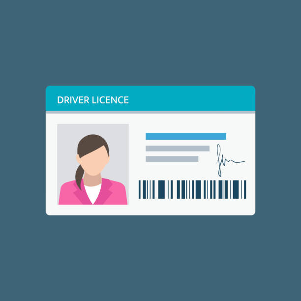 Icon driver's license in flat style, identity card. ID card, identification card, identity verification, person data Icon driver's license in flat style, identity card. ID card, identification card, identity verification, person data. Vector illustration. driving licence stock illustrations