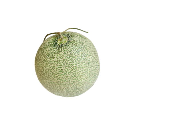 istock Japanese green melon on white background 1186932470
