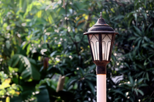 Lamp post in garden in daylight