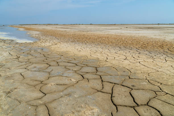 sucha gleba starego słonego morza - kwestia środowiskowa - salton sea zdjęcia i obrazy z banku zdjęć