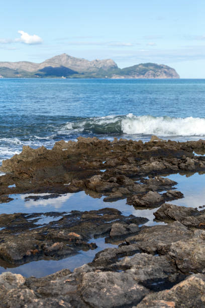 istock Beach of Can Picafort in Mallorca 1186936058