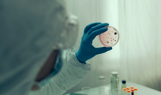 Científico examinando el virus en la placa de petri en un laboratorio photo