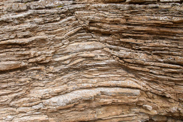 istock Fragment of a layered geological rock. 1186937044