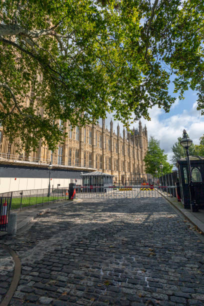 istock Palace of Westminster 1186942279