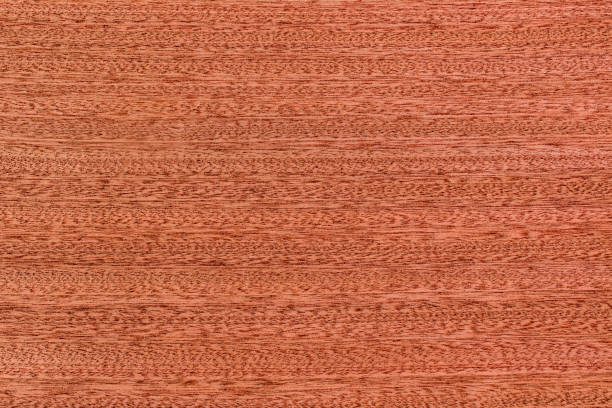 istock Mahogany wood texture background. Close-up mahogany texture. 1186942361