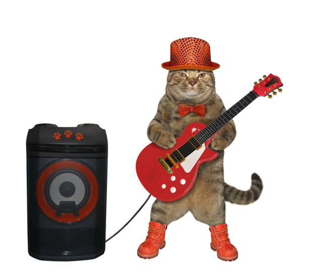 istock Cat in red hat plays electric guitar 1186942621