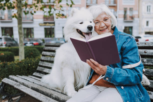 istock Smiling elderly woman reading book in park 1186942836