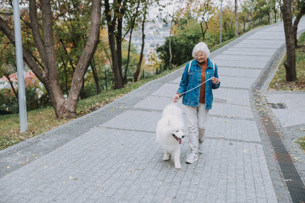 istock Smiling adult lady spending a weekend with a dog 1186944191