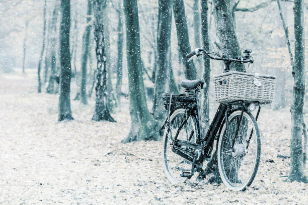 Winter view of a Dutch electric black cargo bicycle with basket Winter view of a Dutch electric black cargo bicycle with basket in national park Veluwezoom gelderland photos stock pictures, royalty-free photos & images