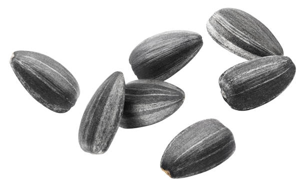 istock Flying sunflower black seeds on white 1186948075