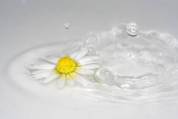 This are water drops photographed with higspeed flashes
