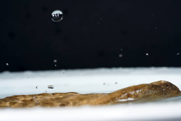 istock Water drops photographed with higspeed flashes 1186950654