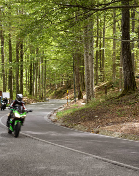istock Biker Riding Motorcycle in a Forest. 1186950690