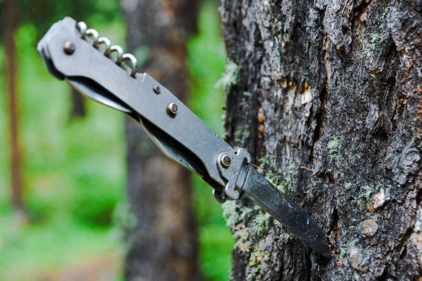 istock Metal tourist folding knife stuck in tree trunk 1186955684