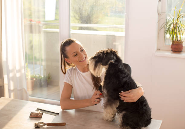 istock Girl combing dog at table 1186955987