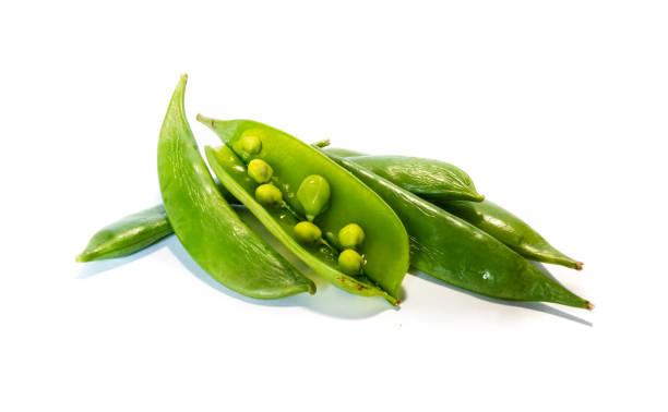 sugar pod isolated on white background - green pea pea pod salad legume imagens e fotografias de stock