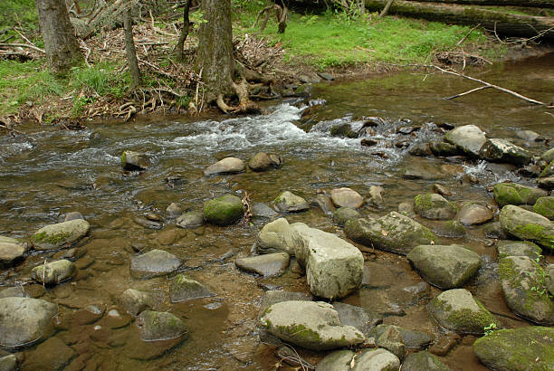 поток волны на национальный парк грейт смоки маунтинс - water stream gatlinburg great smoky mountains national park стоковые фото и изображения