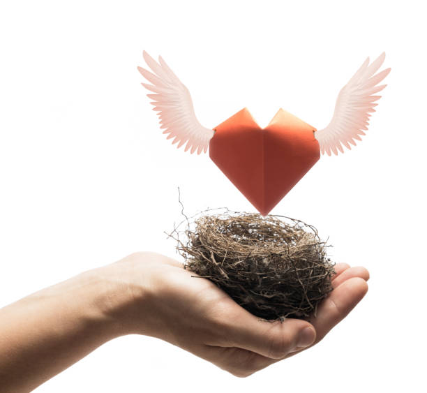 istock Concept of love,  marital bliss. Image. 1186957570