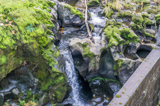 istock Tumwater Falls Flowing Water 1186958616