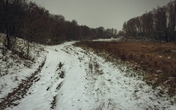 istock Winter landscape and nature 1186959012