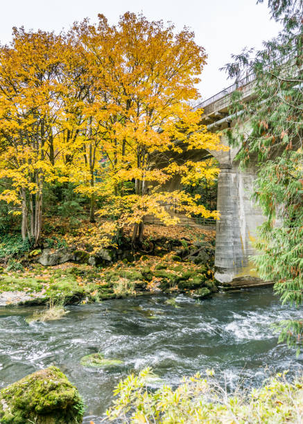 istock Tumwater Falls Park Bridge 3 1186959021