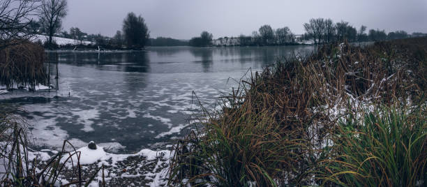 istock Winter landscape and nature 1186963496