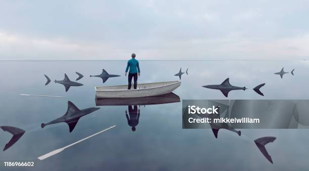 Lost At Sea In Row Boat Surrounded By Sharks Looking For A Prey Stock Photo - Download Image Now