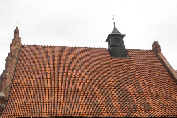 detail of a roof constructed with old orange tiles