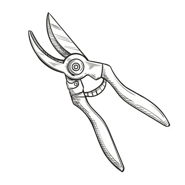 Vector illustration of Runing shears, garden secateurs