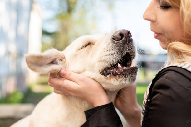 istock blond woman hugging her retriever dog 1186972287