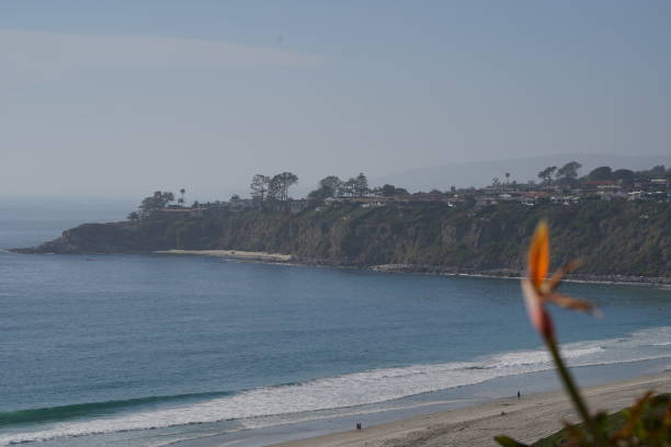 istock Pacific Coastline through flowers California 1186972423