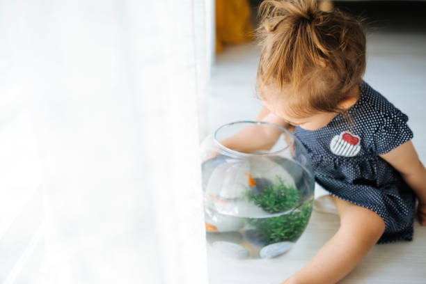 istock Cute child is feeding his goldfish 1186973270