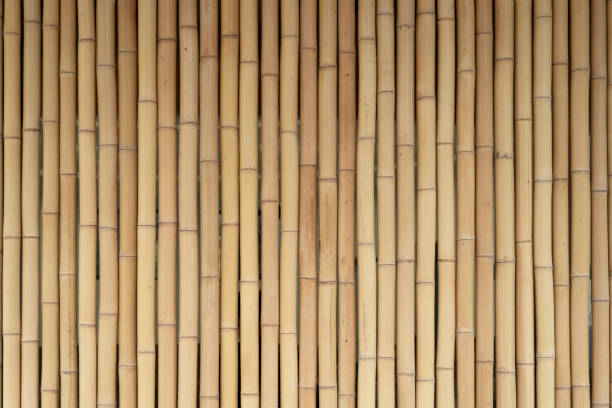 istock Yellow bamboo wooden fence. Background from bamboo, wood texture. Project work 1186974063