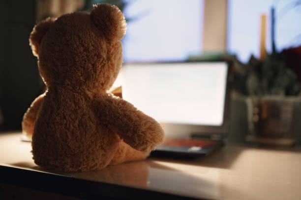 Teddy bear using laptop in room