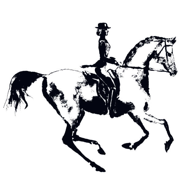 illustrations, cliparts, dessins animés et icônes de cavalier de cheval de dessin de main comme la gravure. silhouette de cavalier avec le cheval galopant de dressage sur le blanc. - women bride personal accessory adult