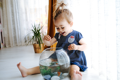 Cute child is feeding his goldfish