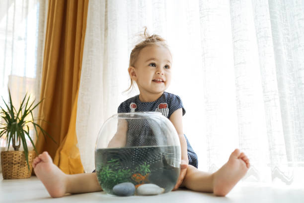 istock Cute child is feeding his goldfish 1186978278