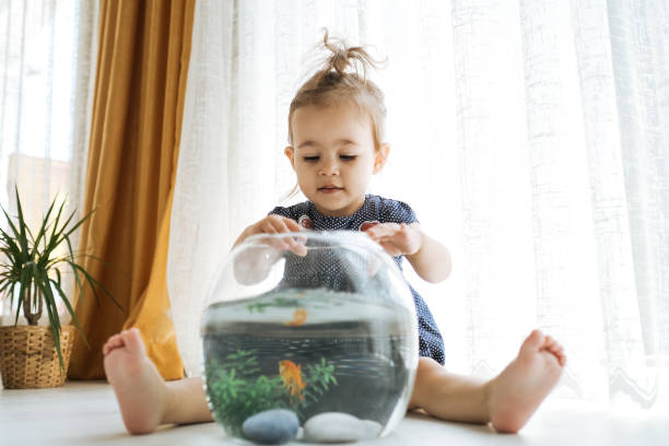 istock Cute child is feeding his goldfish 1186978356