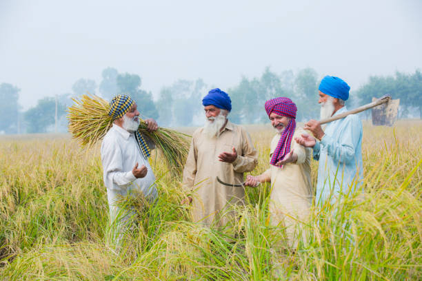 mehrgenerationenfamilie in der landwirtschaft filed - stockfotos - indian culture family senior adult asian ethnicity stock-fotos und bilder