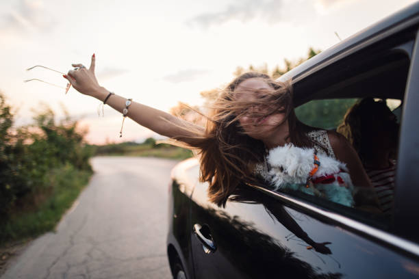istock Feel the wind in your hair 1186979953