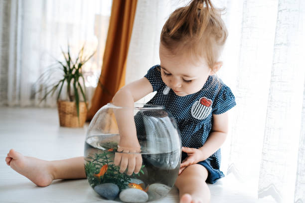 istock Cute child is feeding his goldfish 1186980168
