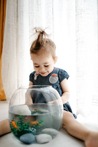 istock Cute child is feeding his goldfish 1186980869