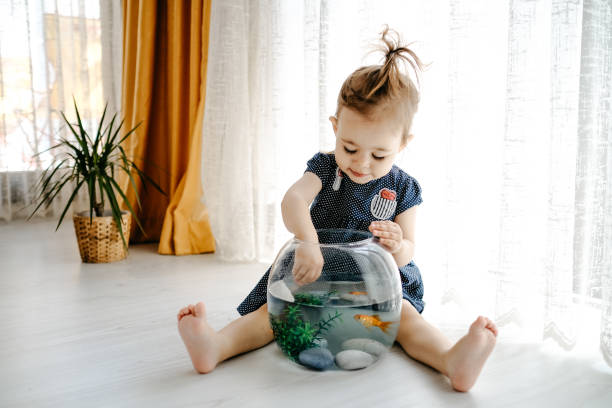 istock Cute child is feeding his goldfish 1186980911