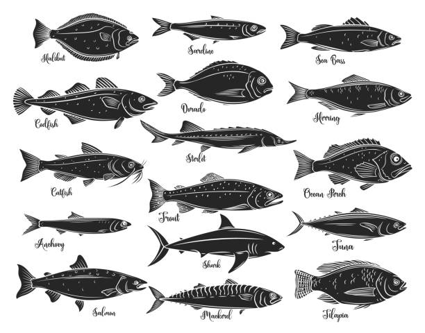 Silhouettes fish, seafood Silhouettes fish. Isolated seafood with bream, mackerel, tuna or sterlet, catfish, codfish and halibut. Tilapia, ocean perch, sardine, anchovy, sea bass and dorado. Retro style, vector illustration frehwater stock illustrations