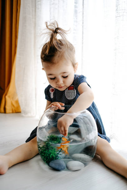istock Cute child is feeding his goldfish 1186987805
