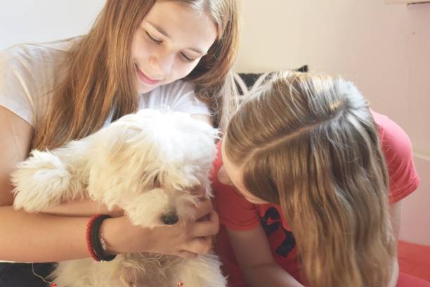 istock Two sisters and a puppy 1186987992