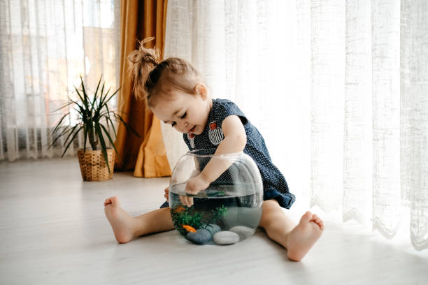 istock Cute child is feeding his goldfish 1186989015