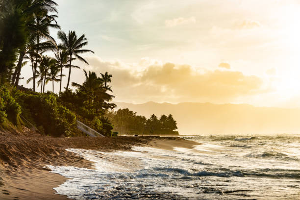 istock Sunset at a North Shore Beach in Oahu Hawaii 1186989561